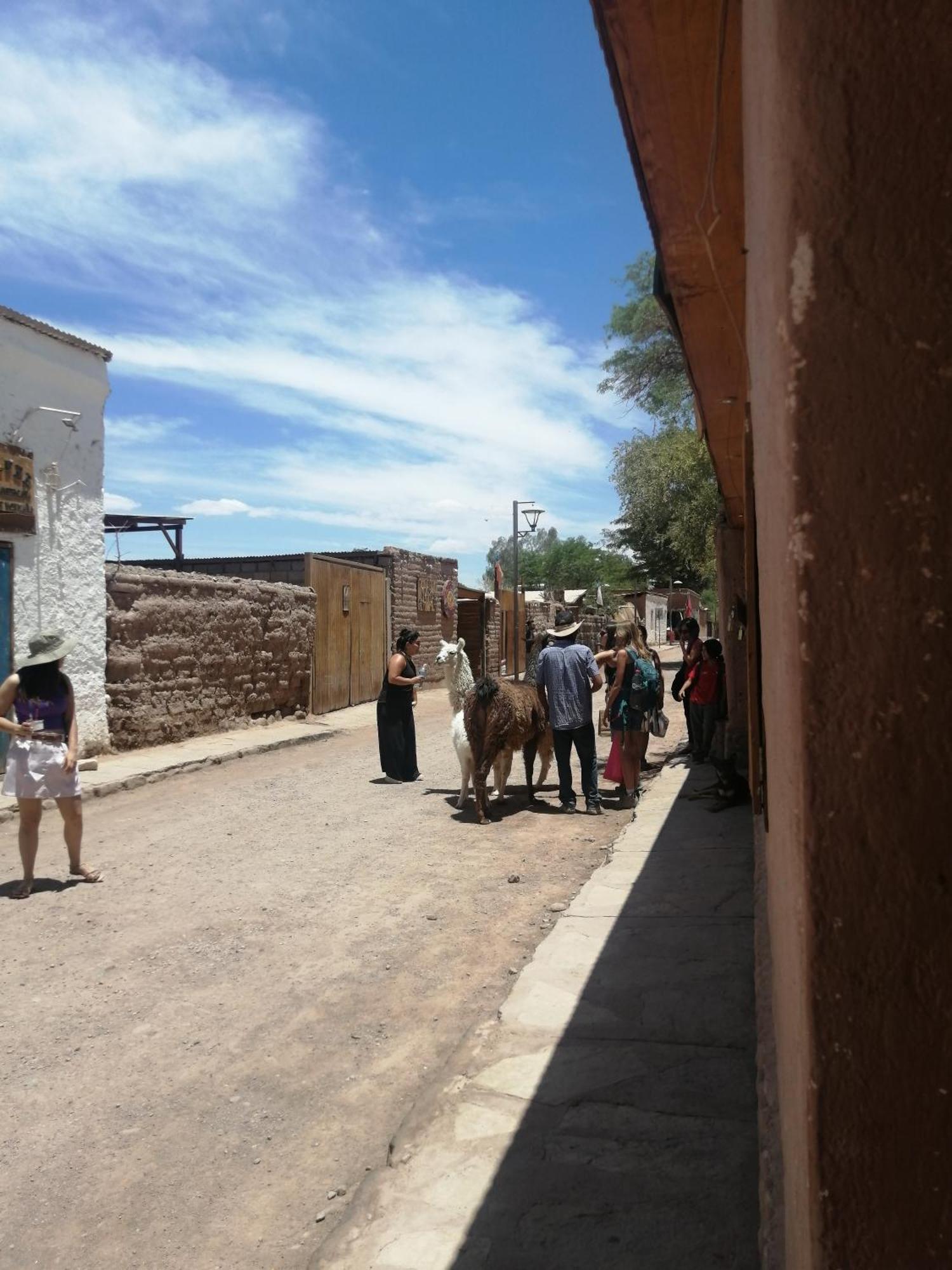 Apartamento Viajes & Vida Km0 San Pedro de Atacama Exterior foto